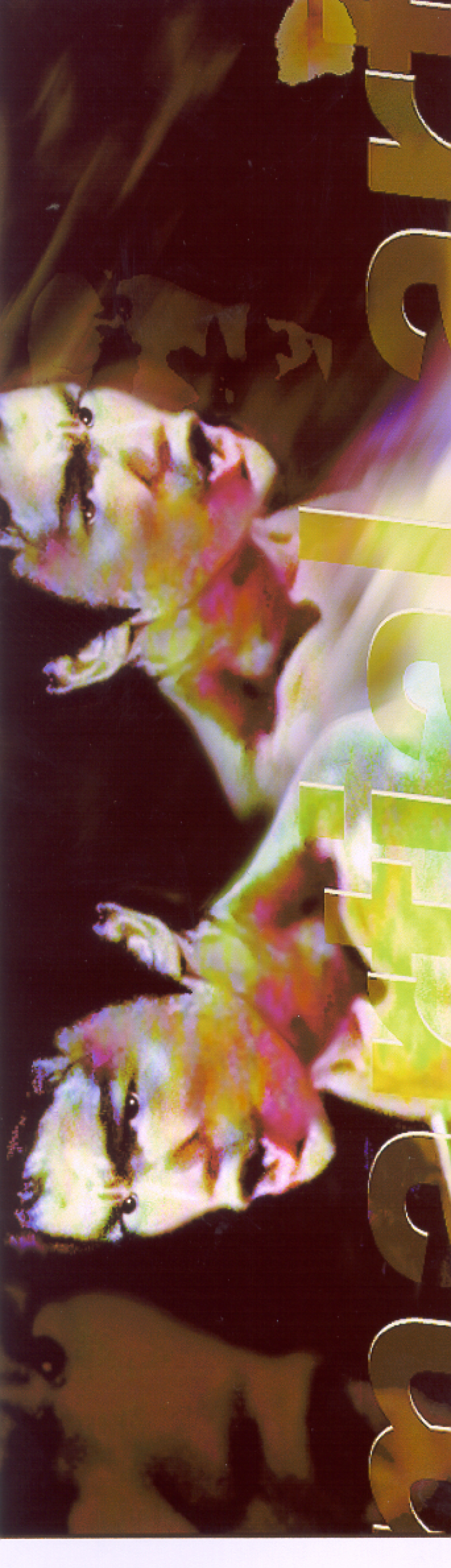 Junge Kunst III, „Digital“