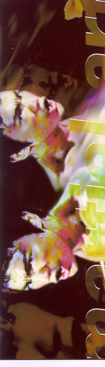 Seni Muda III, “Digital”