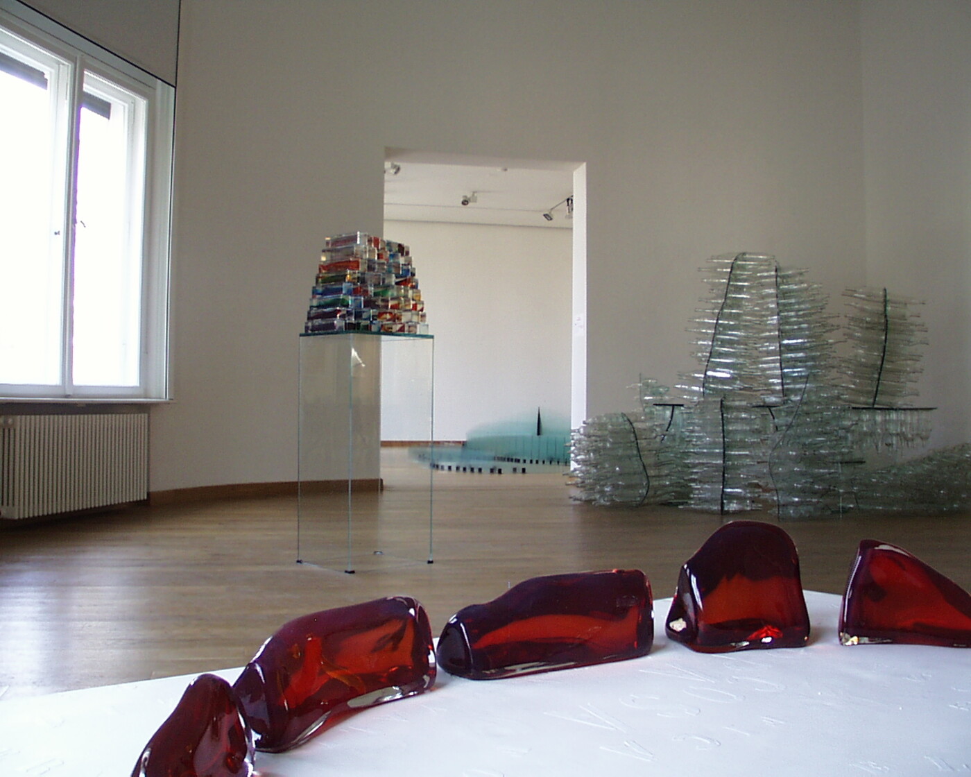 Fragile Beauty - Junge Kuratoren stellen sich vor -