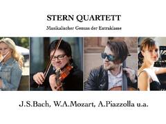 Stern Quartett